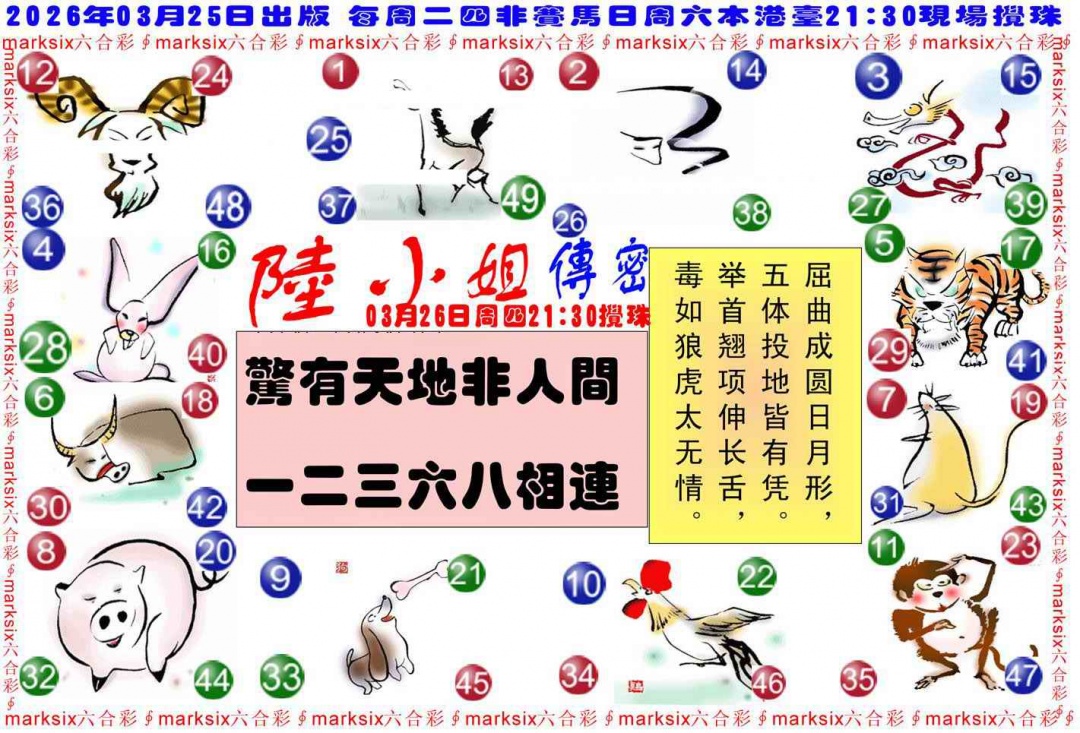 033期陆小姐传密B[图]